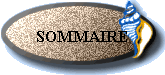 SOMMAIRE
