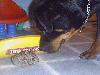 Amitie_sans_frontieres (12)
