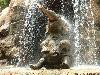 Animaux_craquants (12)