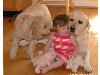 Animaux_craquants (9)