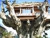 Architecture (19)