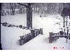 Hiver_Canada (5)