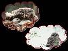Images_de_reve (27)