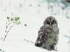 Images_de_reve (29)