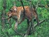 Images_de_reve (30)