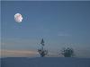 Images_de_reve (32)