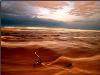 Images_de_reve (40)