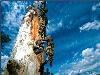 Images_de_reve (41)