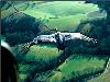 Images_de_reve (42)