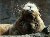 Images_de_reve (47)