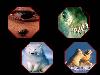 Images_de_reve (49)