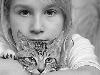 Cats (5)