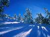 Hiver_neige (1)