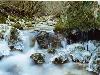 Hiver_neige (10)