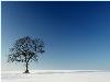 Hiver_neige (11)