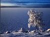 Hiver_neige (12)