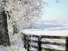 Hiver_neige (13)