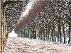 Hiver_neige (14)