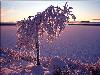 Hiver_neige (19)