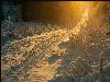 Hiver_neige (20)