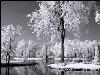 Hiver_neige (21)