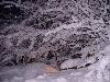 Hiver_neige (25)