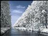 Hiver_neige (3)