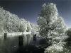 Hiver_neige (31)