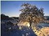 Hiver_neige (33)