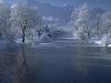 Hiver_neige (34)
