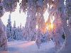 Hiver_neige (4)