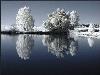 Hiver_neige (6)