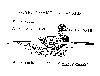 Humour_joke_canard