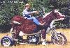 Moto_vache