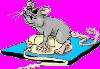 souris