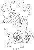 color_image5