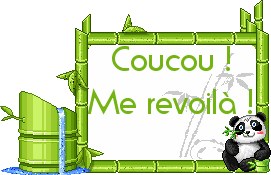 Coucou me revoilà !!